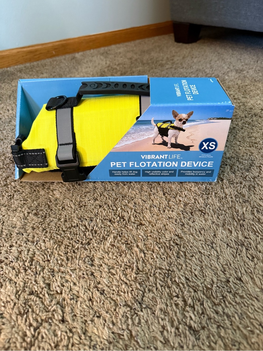 Vibrant Yellow XS Dog Life Jacket with Black Straps
